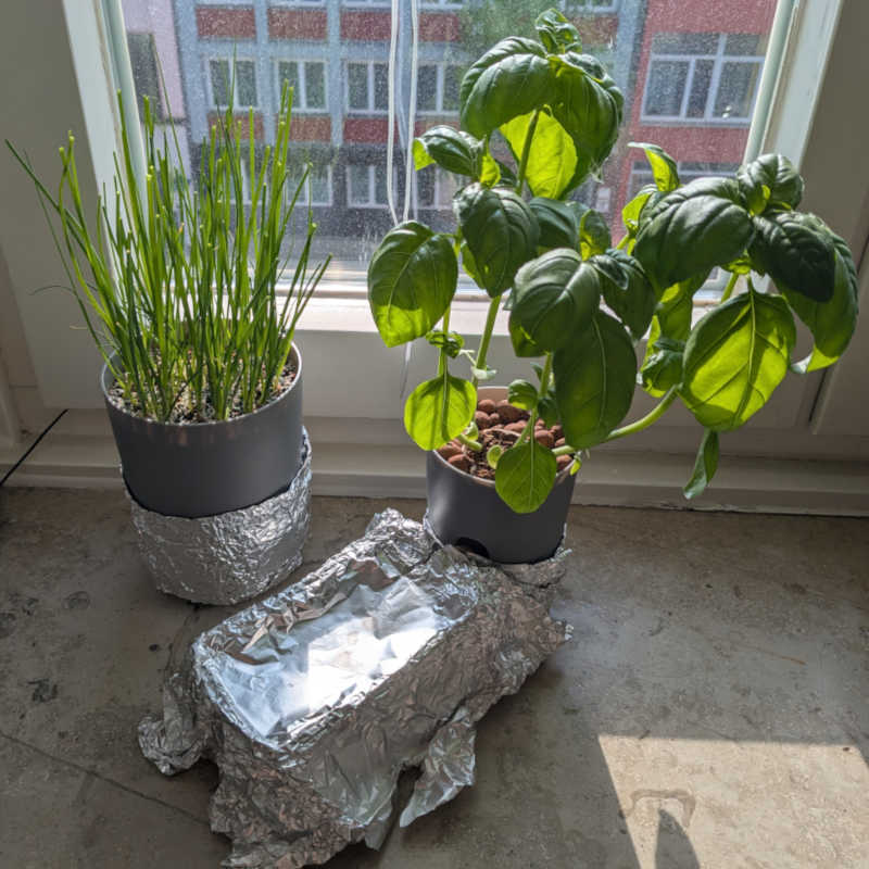 Basil with external water power bank