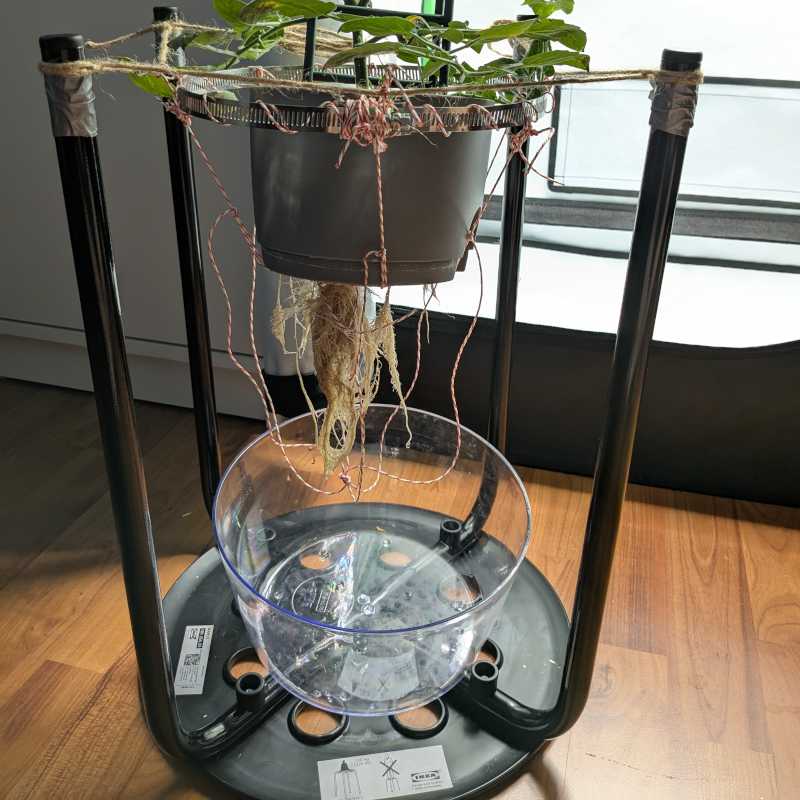 Improvised plant holder made of a chair, rope and knots